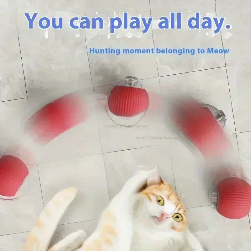 Interactive Automatic Pet Toy