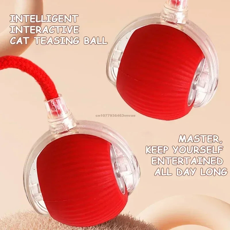 Interactive Automatic Pet Toy