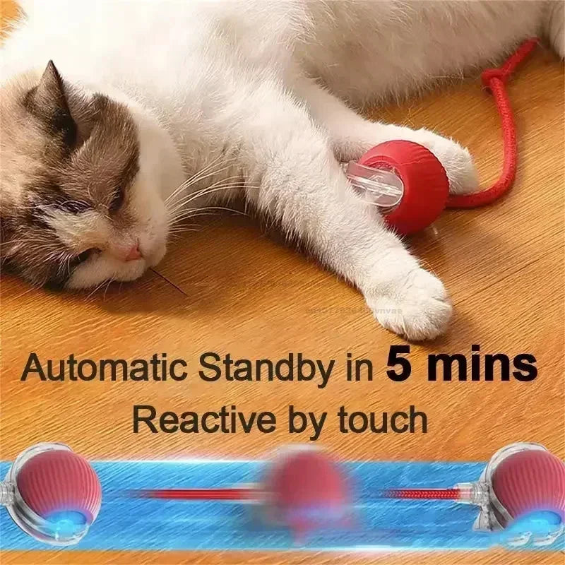 Interactive Automatic Pet Toy