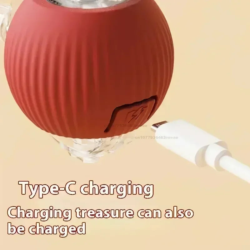 Interactive Automatic Pet Toy