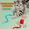 Interactive Automatic Pet Toy
