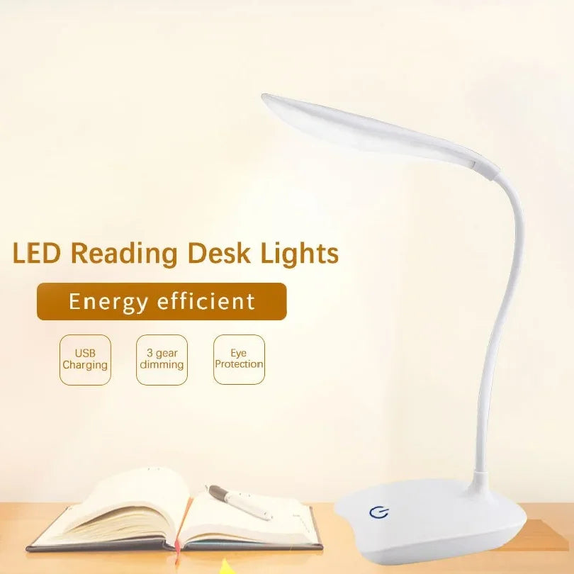 Desktop USB Rechargeable Lamp