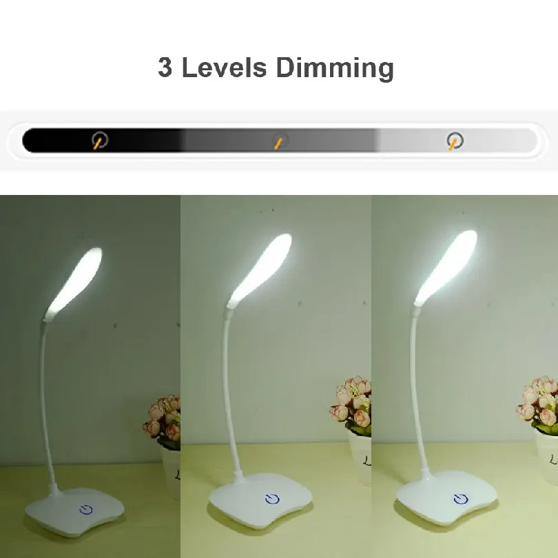 Desktop USB Rechargeable Lamp